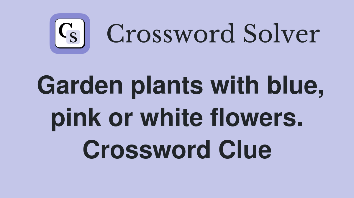 Garden plants with blue, pink or white flowers. Crossword Clue